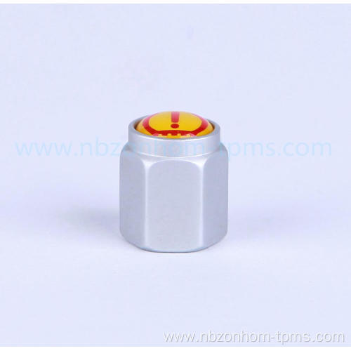 aluminium tire valve cap